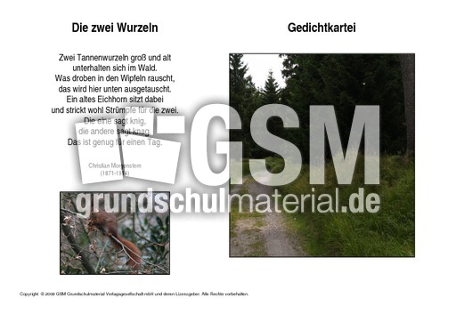 Die zwei-Wurzeln-Morgenstern.pdf